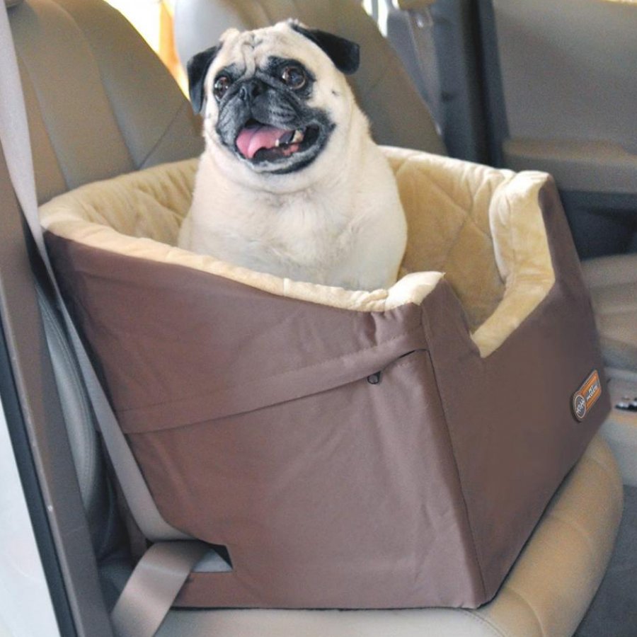 Bucket Booster Pet Seat